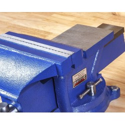 Bankschroef 200 mm. draaibare uitvoering  met aambeeld